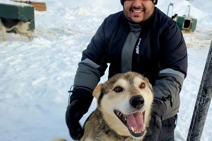 a dog sitting in the snow