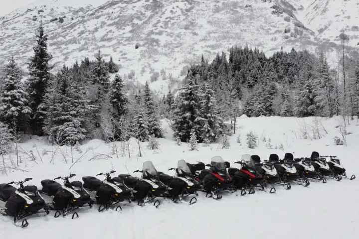 a group of people riding skis across snow covered ground
