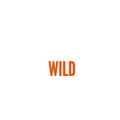 Alaska Wild Guides