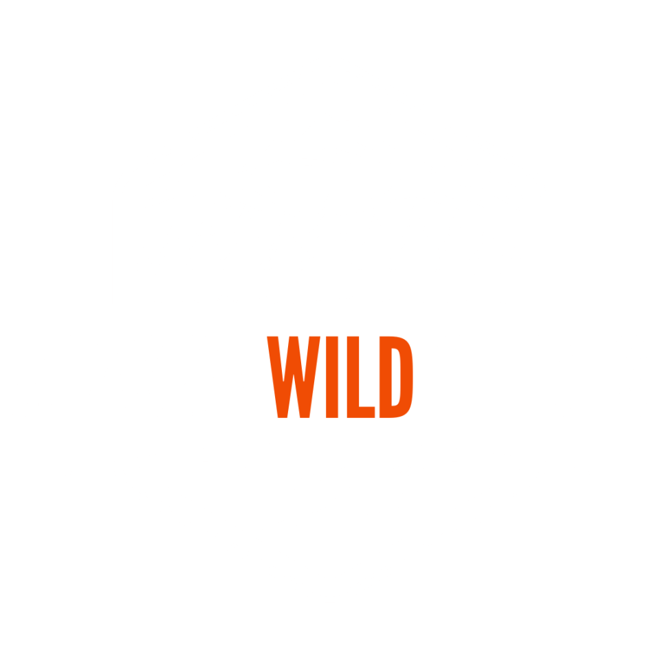 Alaska Wild Guides | Snowmobile & Jet Ski Tours in Girdwood, AK